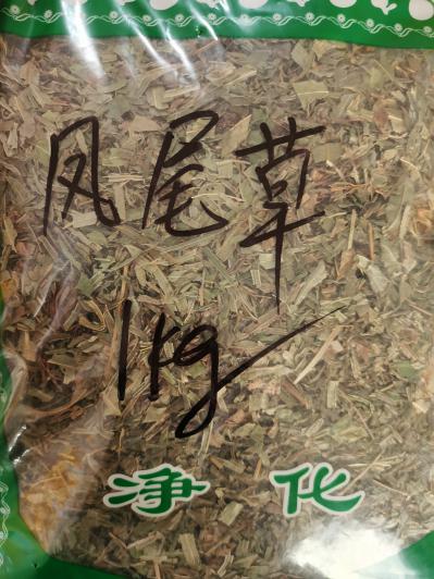 凤尾草多少钱？凤尾草哪里有卖的？安国冷背药材凤尾草专营