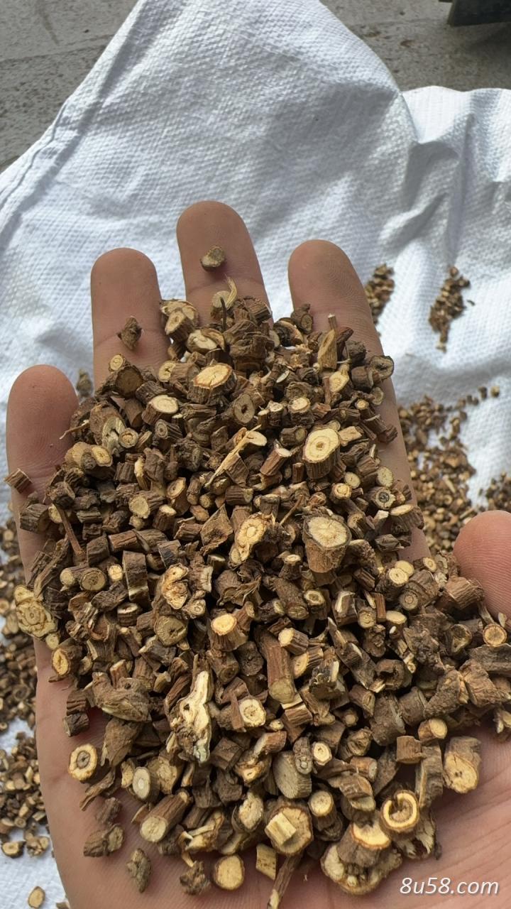 北柴胡