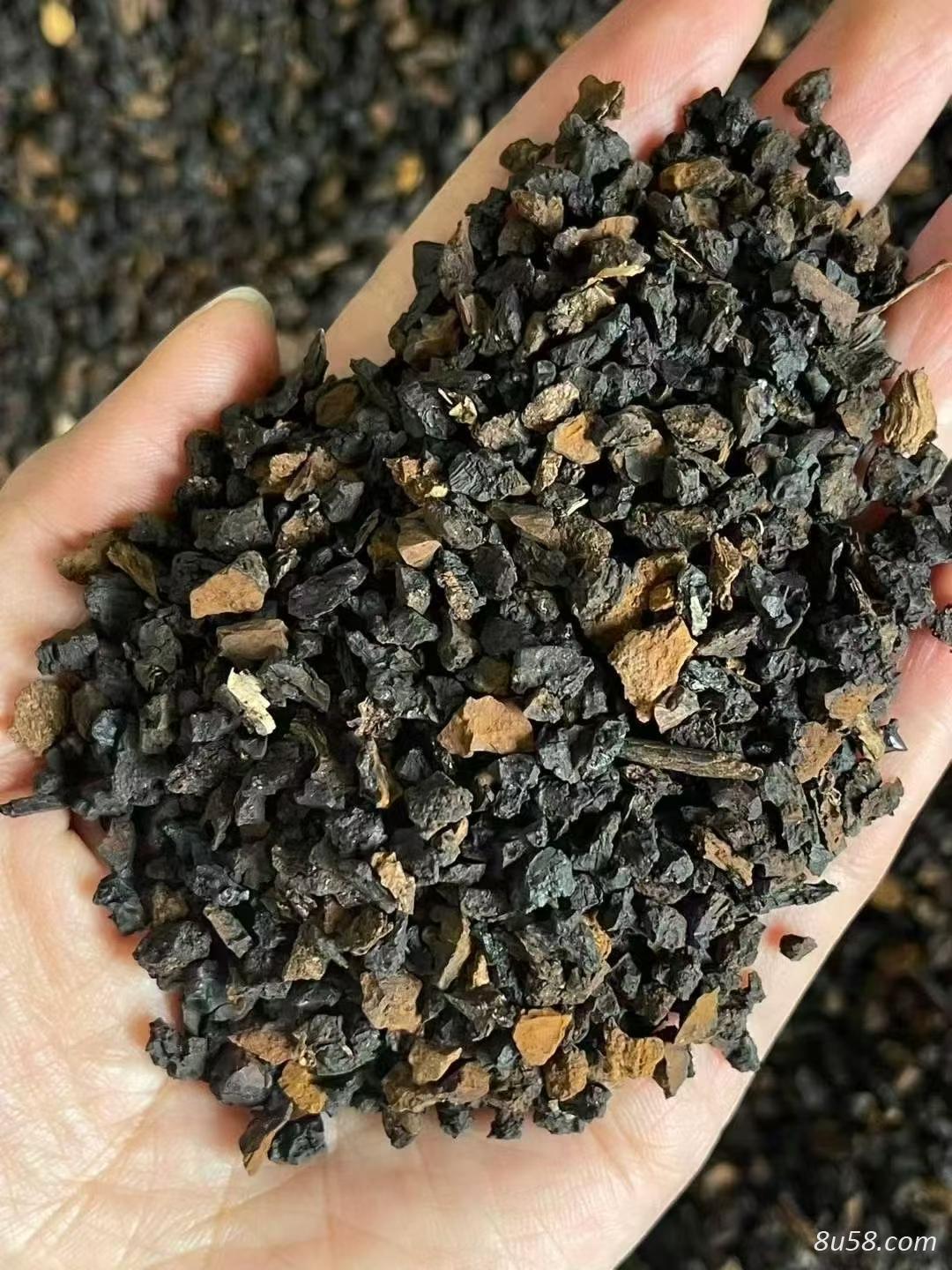 桦树茸