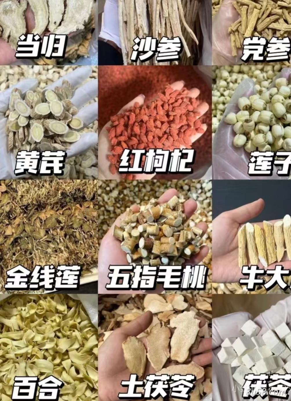 五指毛桃