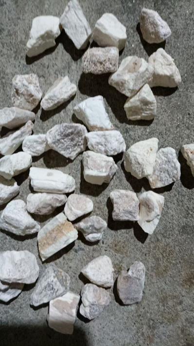 龙骨