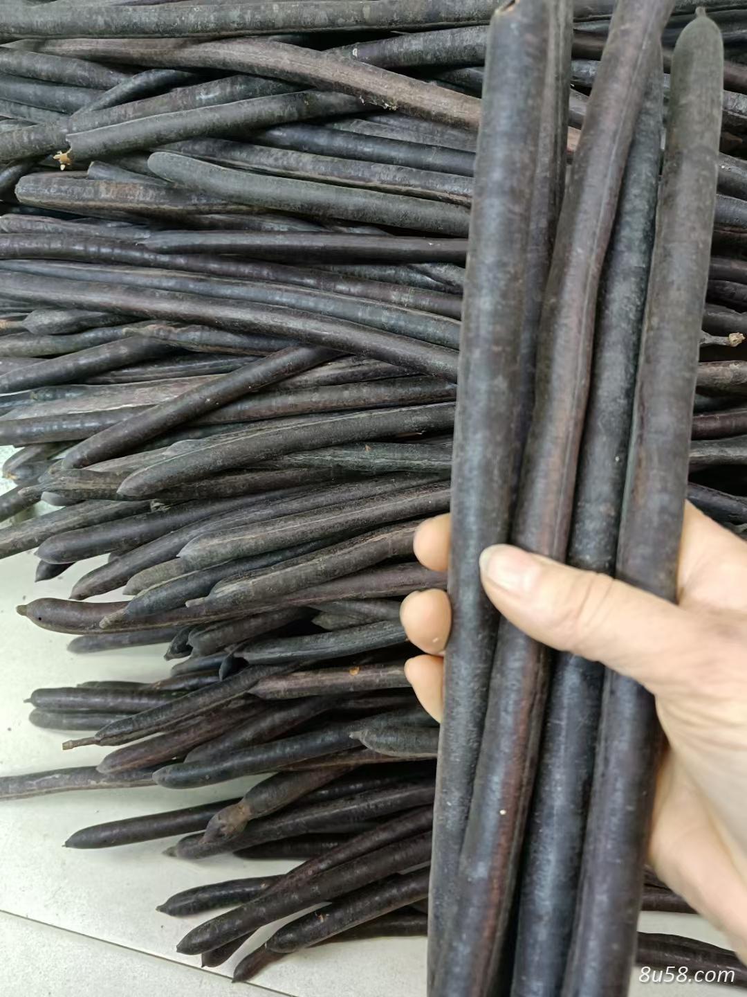 便秘果