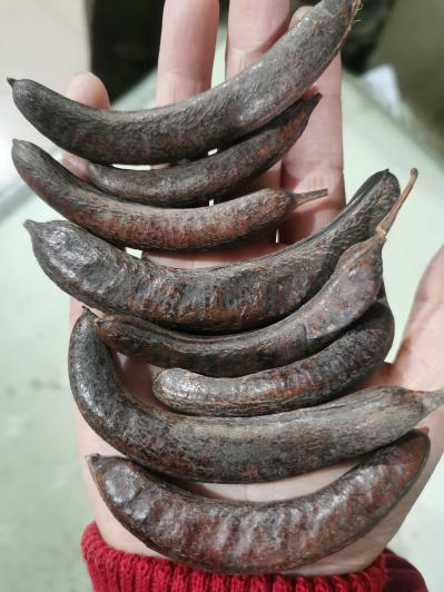 猪牙皂一斤多少钱？我要买猪牙皂哪里有？产地直销猪牙皂价格多少？
