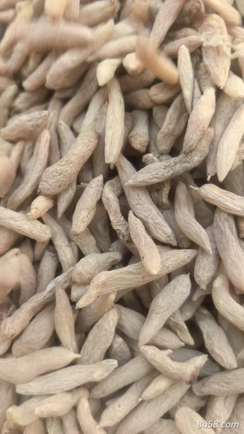 麦冬