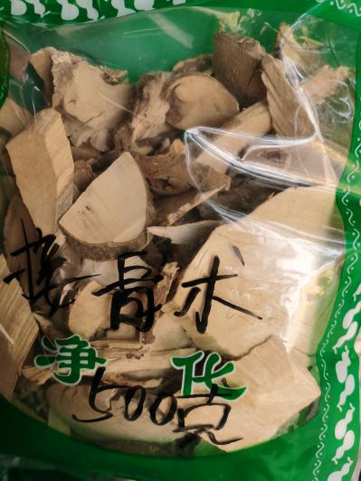 哪里能买到接骨木？接木骨一斤多少钱？接骨木批发 接骨木图片