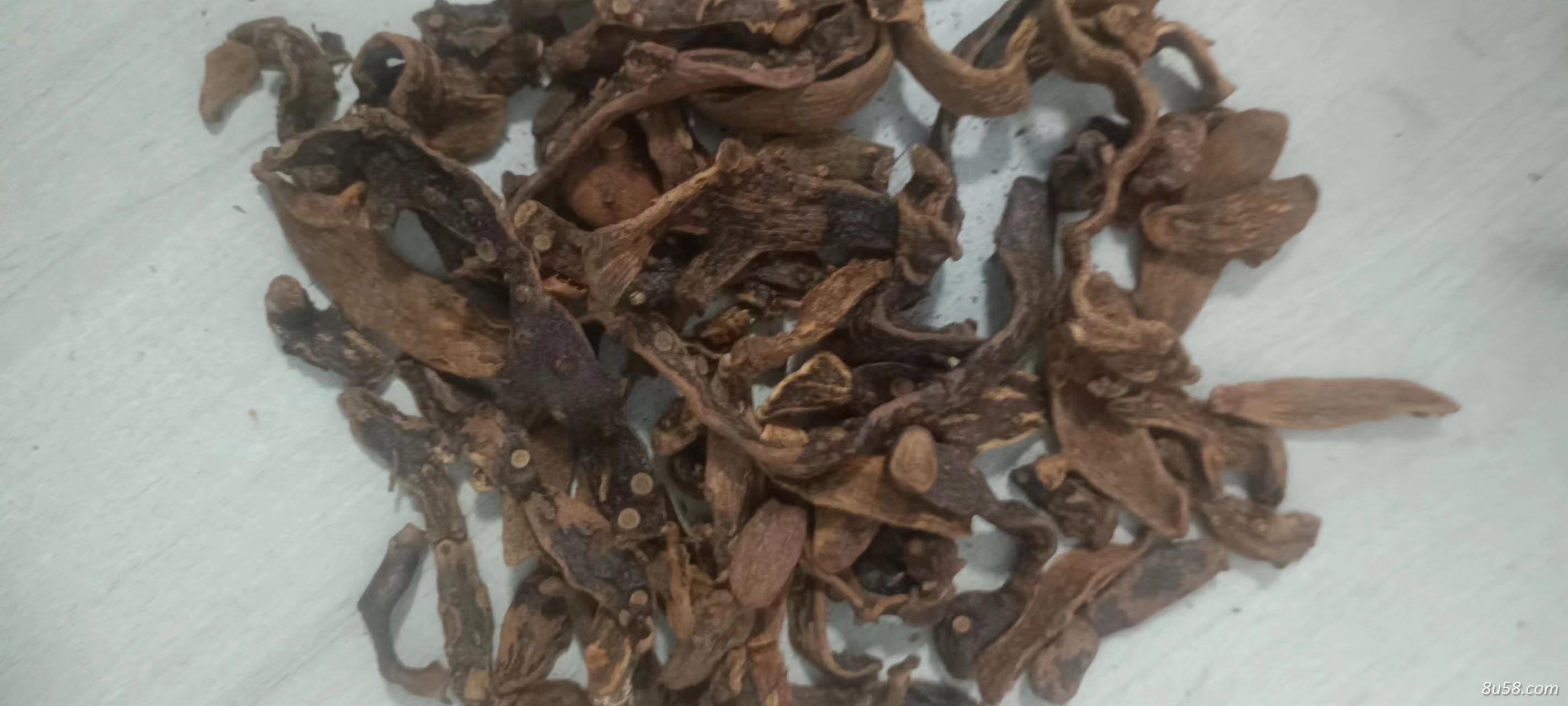 骨碎补一克多少钱？去哪里能买到正宗骨碎补？