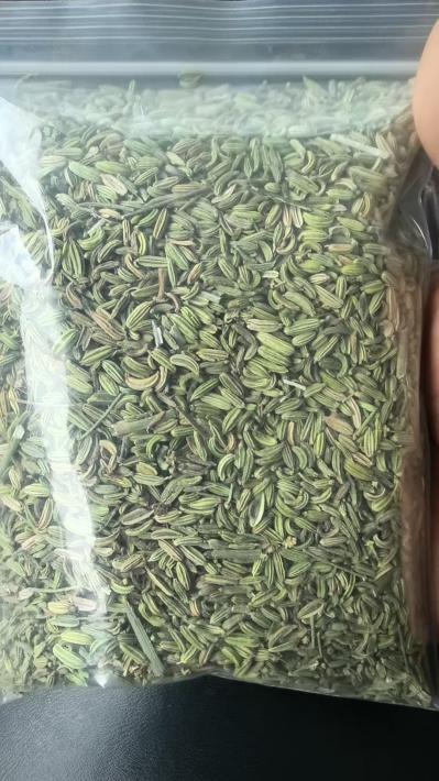 甘肃张掖小茴香产地