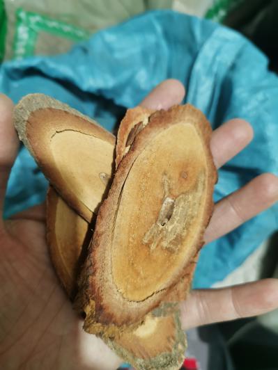 一公斤钩藤根多少钱？钩藤根功效作用有哪些？去哪里能买到正宗的钩藤根