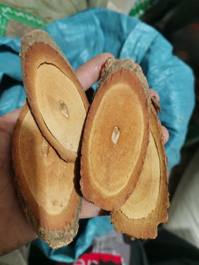 产地直销钩藤根多少钱？钩藤根怎么用药效高？钩藤根是药材吗？