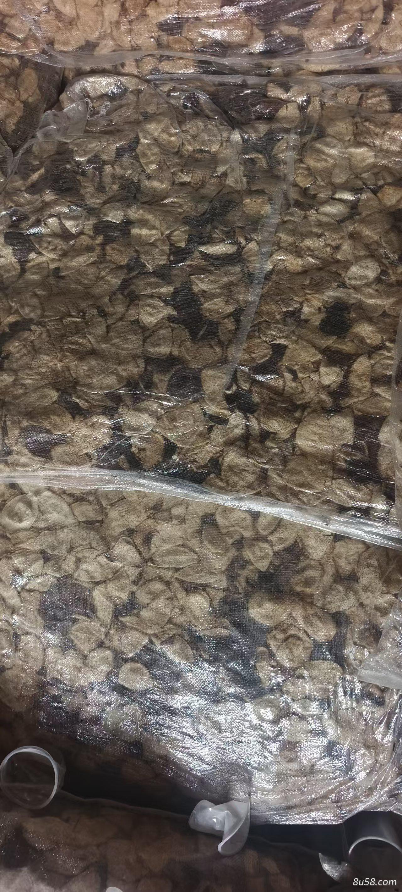 5年三花陈皮长期大量出售 价格从优