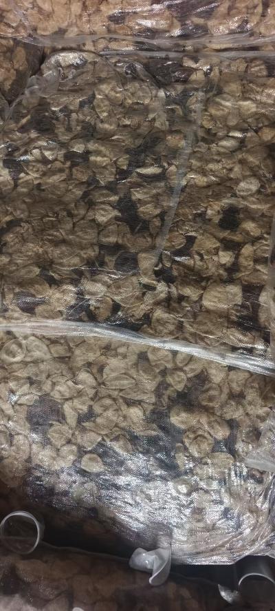 5年三花陈皮长期大量出售 价格从优