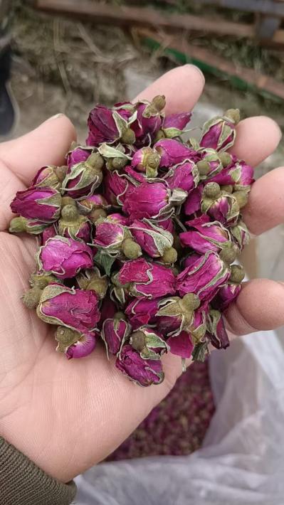 玫瑰花