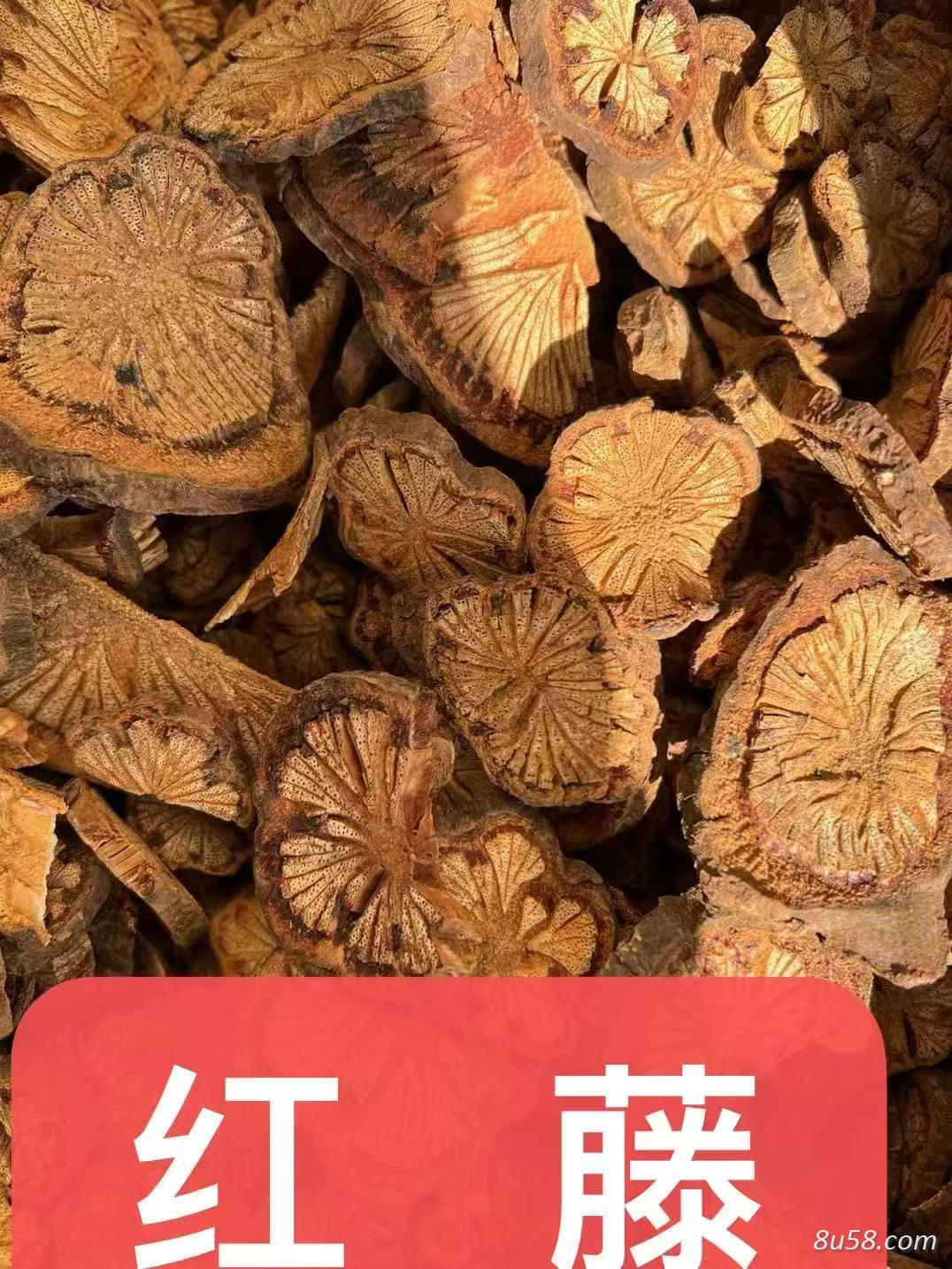 红藤