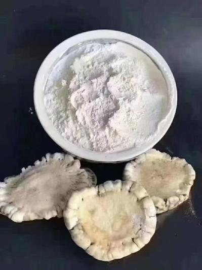 鹿角帽粉