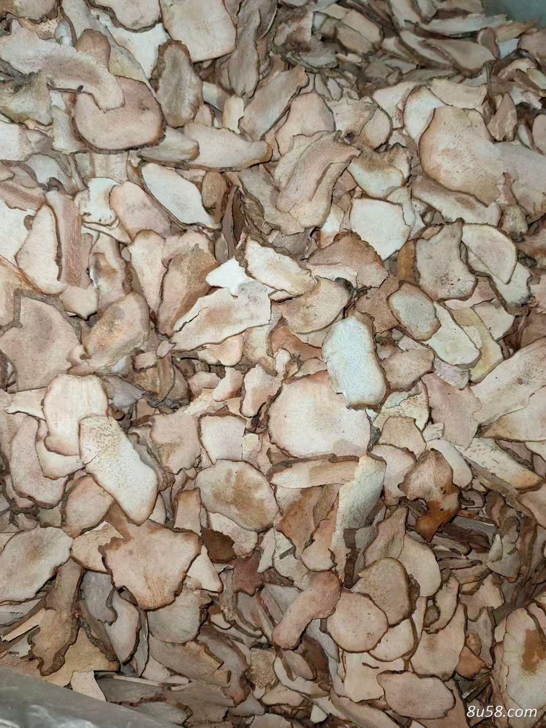 土茯苓