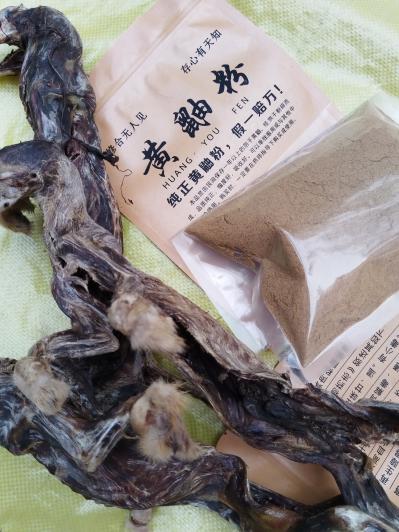 十年老黄鼬粉