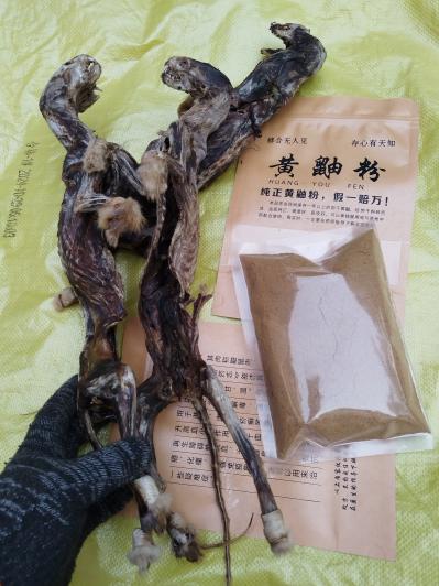 养殖十年黄鼠狼干粉黄鼬粉