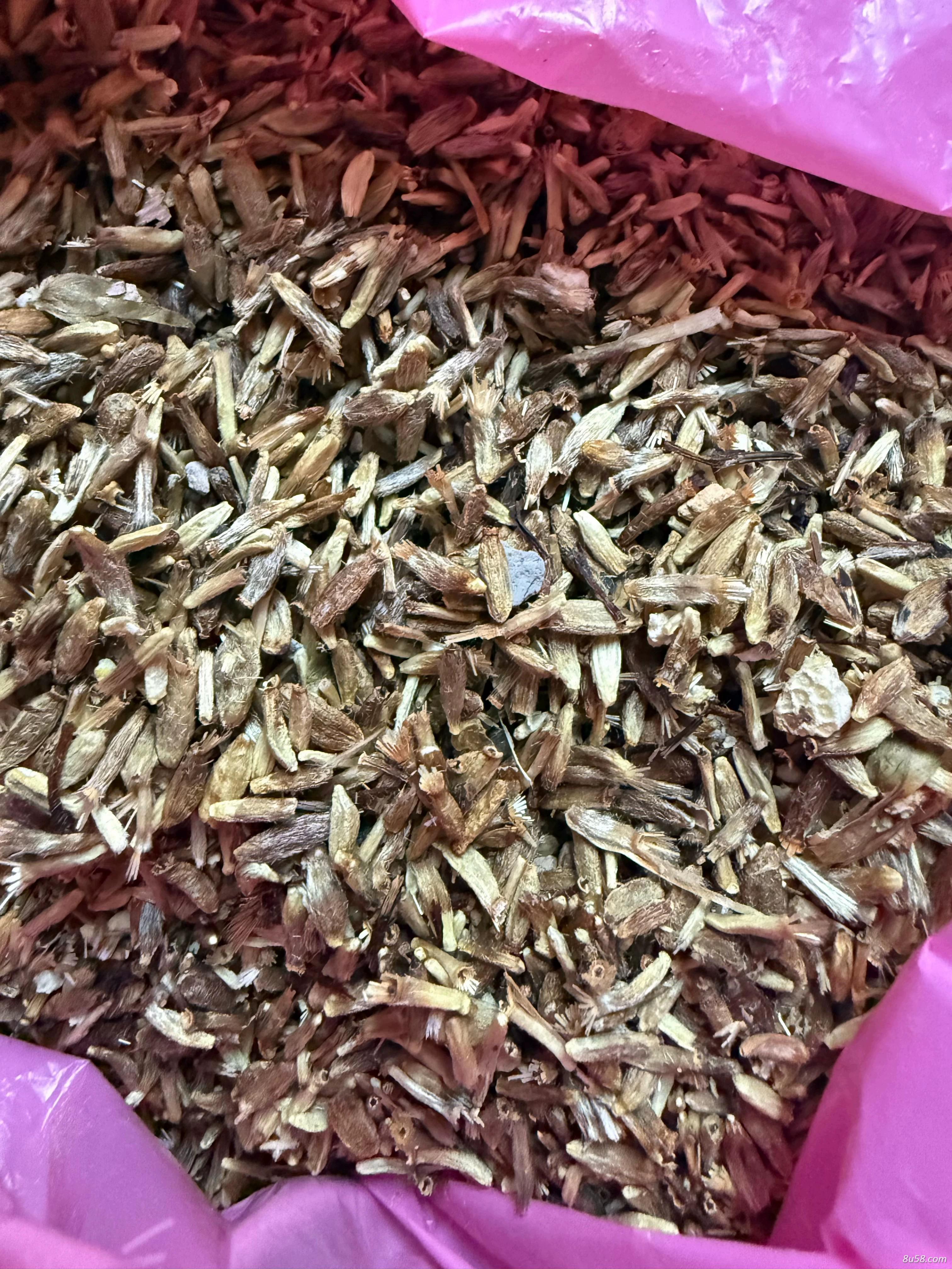浙江白术老品种种子