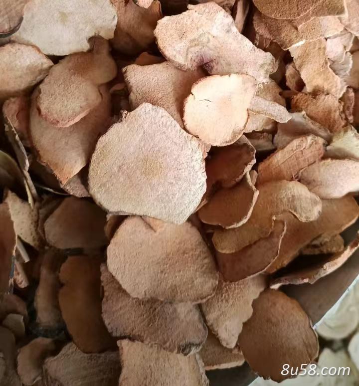 土茯苓