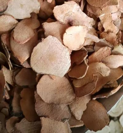 土茯苓