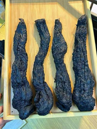 肉苁蓉