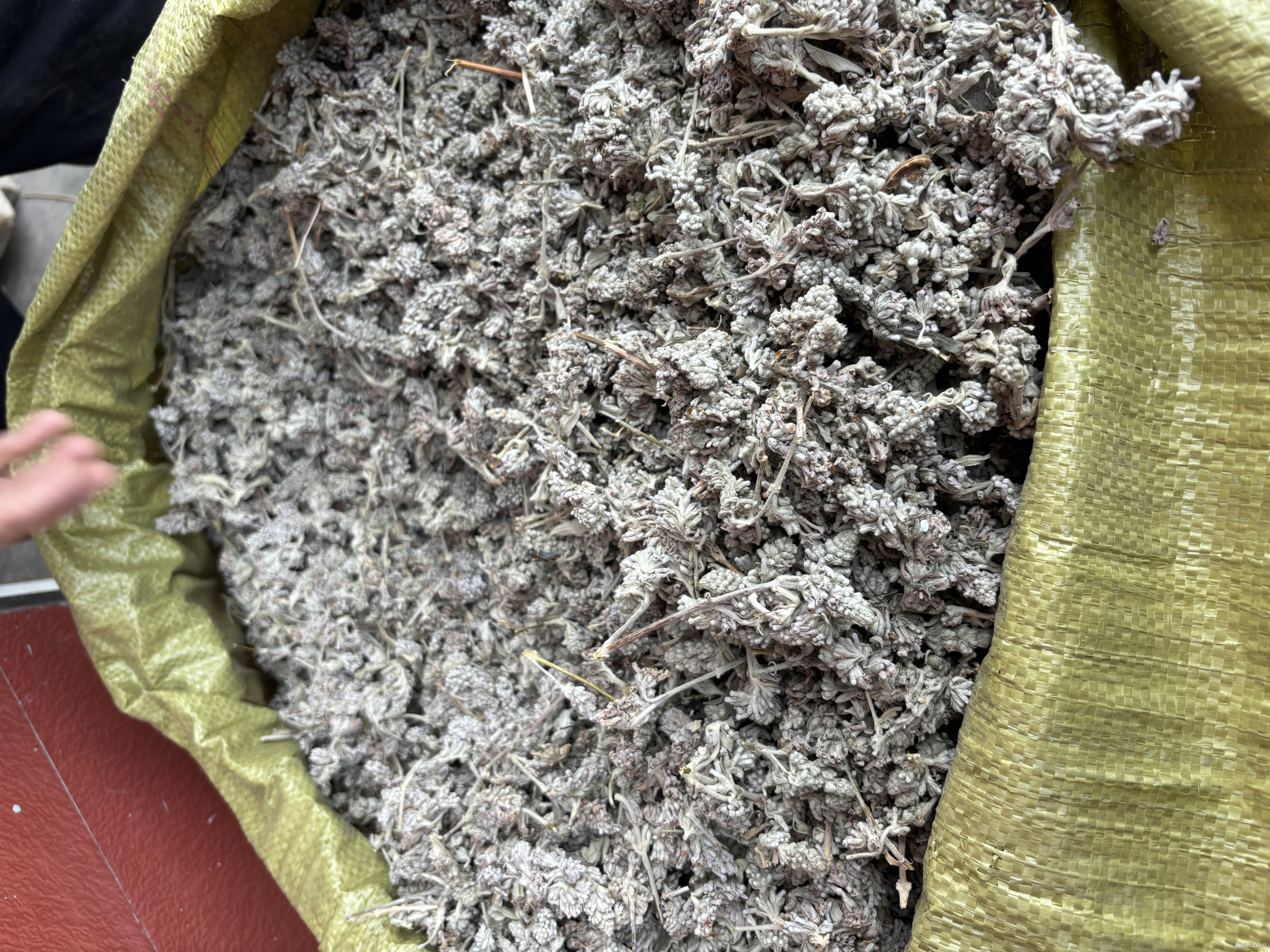 密蒙花出售