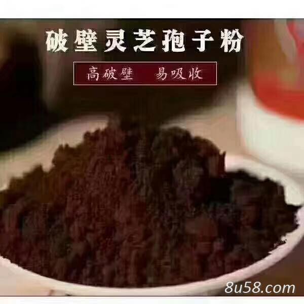 灵芝孢子粉