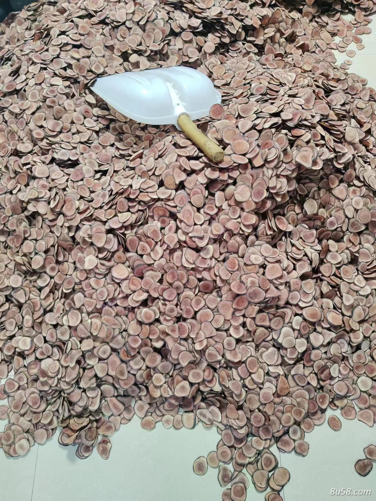 二刀茸片