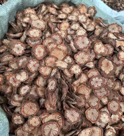 红藤有没有产地？红藤的功效与作用是什么？红藤能泡水喝吗？