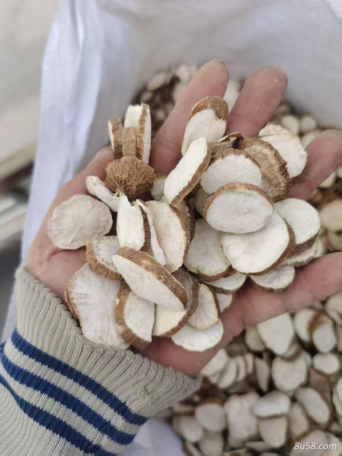 金果榄产地是哪里？金果榄可以泡水喝吗？金果榄可以入药吗？
