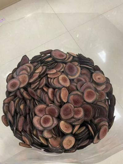 鹿茸怎么用药效好？鹿茸一克多少钱？鹿茸批发多少钱？