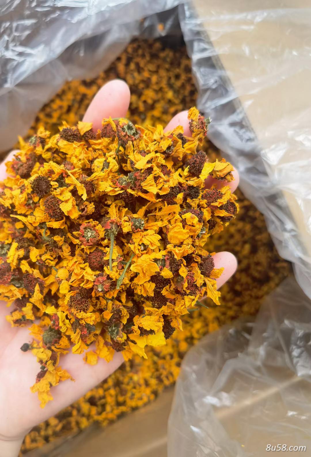 ‌昆仑雪菊泡水喝的功效与作用是什么？