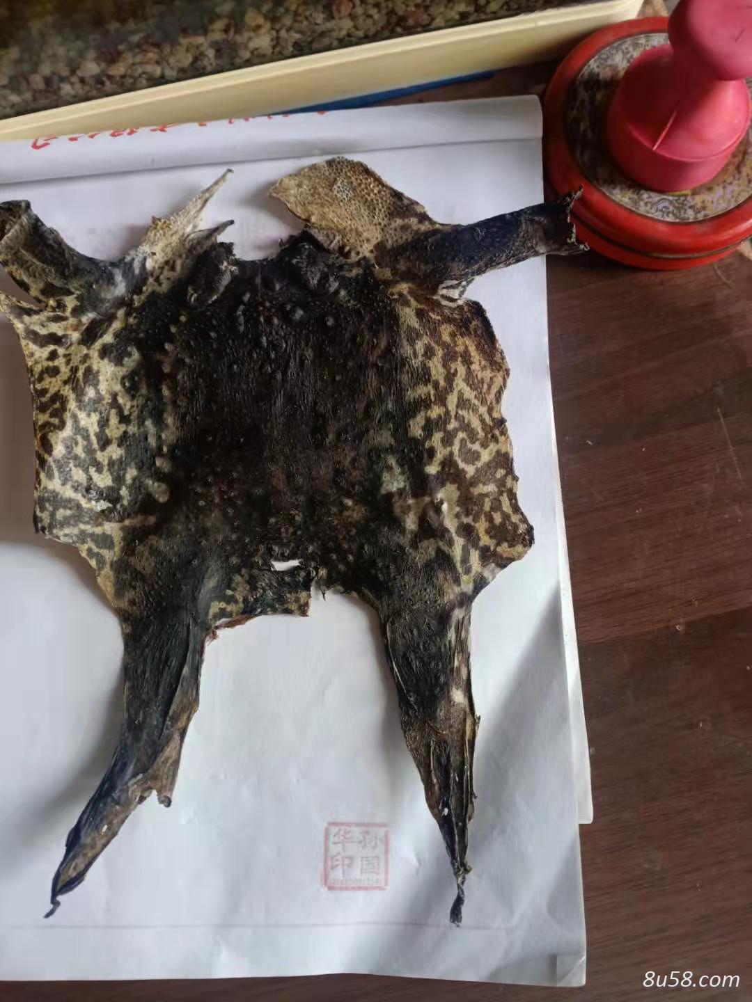 干蟾皮