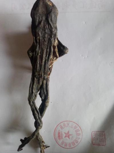 一公斤蟾皮,干蟾的价钱相差多大价格？孙国华