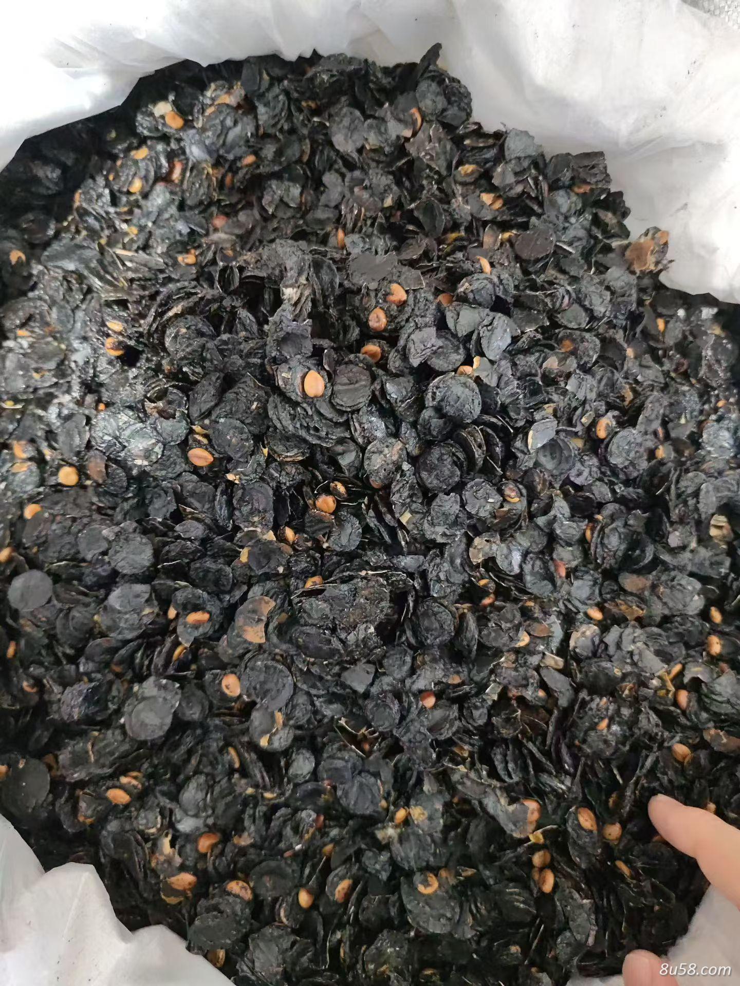 便秘果肉是用来干什么的？便秘果肉是不是药食两用中药材？