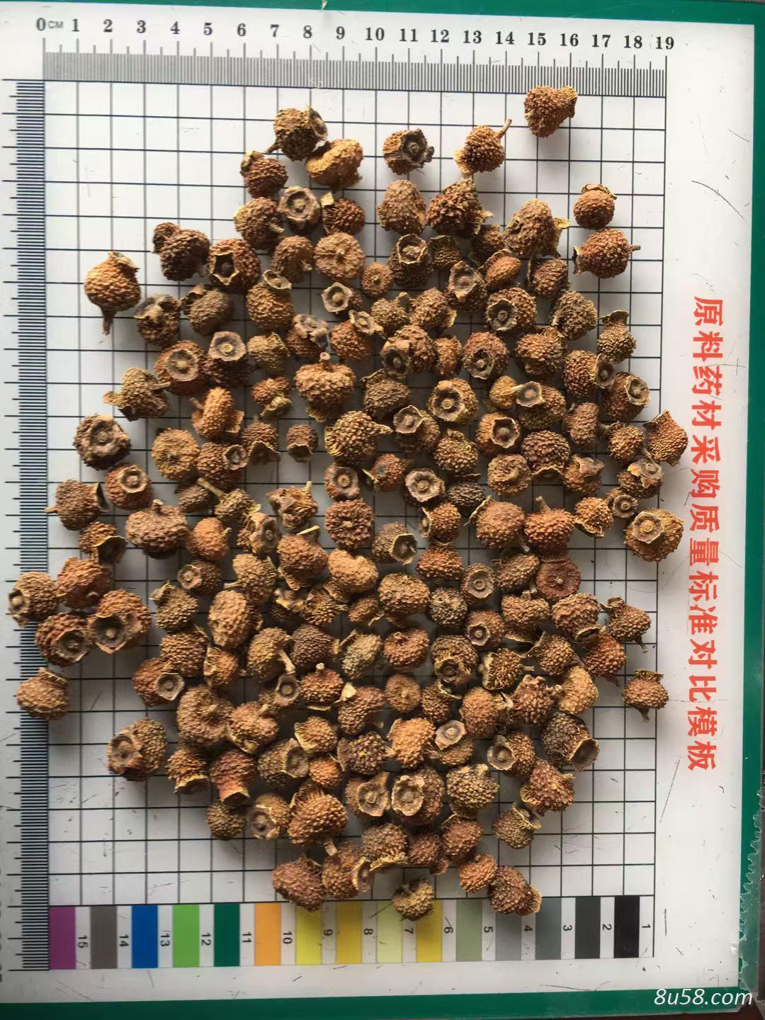 刺梨干果的主要功效与作用是什么？刺梨是用来干嘛的？刺梨是不是药食两用中药材？