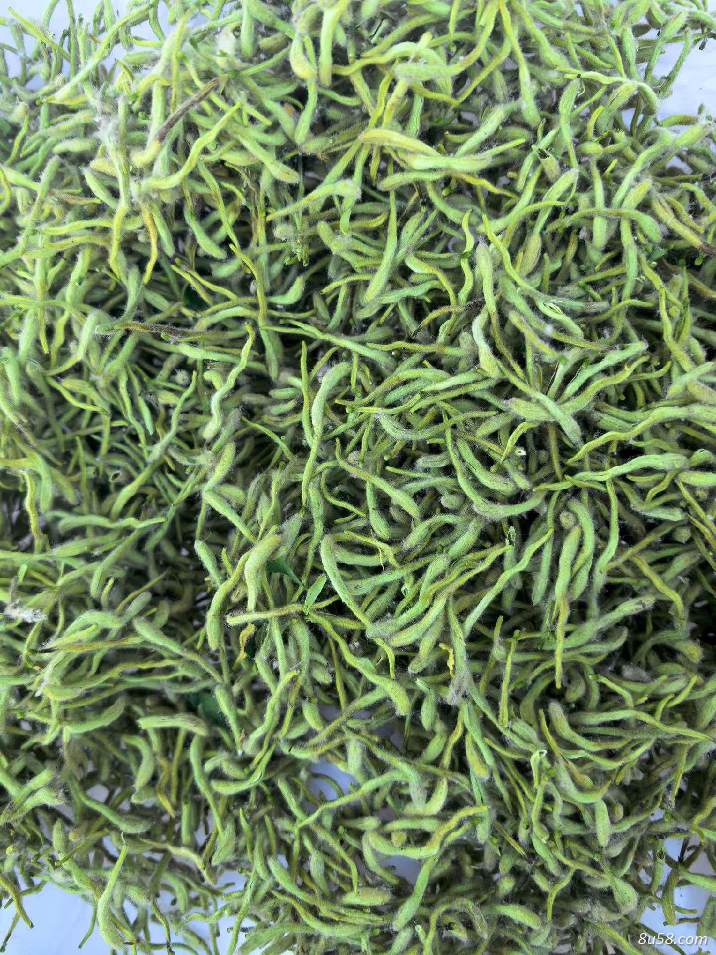 金银花是不是药食两用中药材？金银花的功效与作用是什么？ ‌