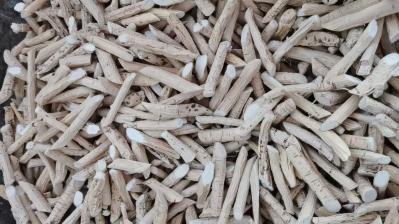 牛大力在哪里能买到？牛大力的功效与作用是什么？牛大力适合哪些人？