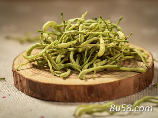 山东平邑金银花