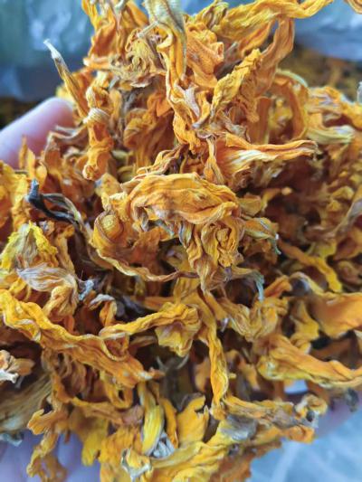 向日葵花的功效有哪些？向日葵花能泡水喝吗？ ‌