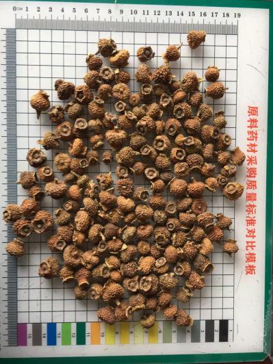 刺梨泡水有哪些不为人知的好处？刺梨是不是药食两用中药材？刺梨的功效与作用是什么？