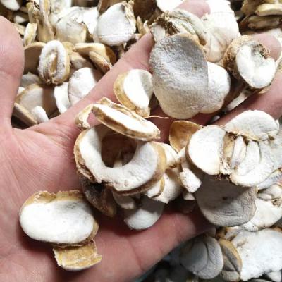 浙贝母主要是用来干什么的？浙贝母都是浙江产的吗？浙贝母的功效与作用是什么？