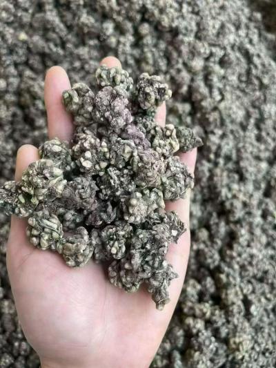 猫爪草有什么功效？猫爪草现在多少钱？猫爪草一斤多少钱