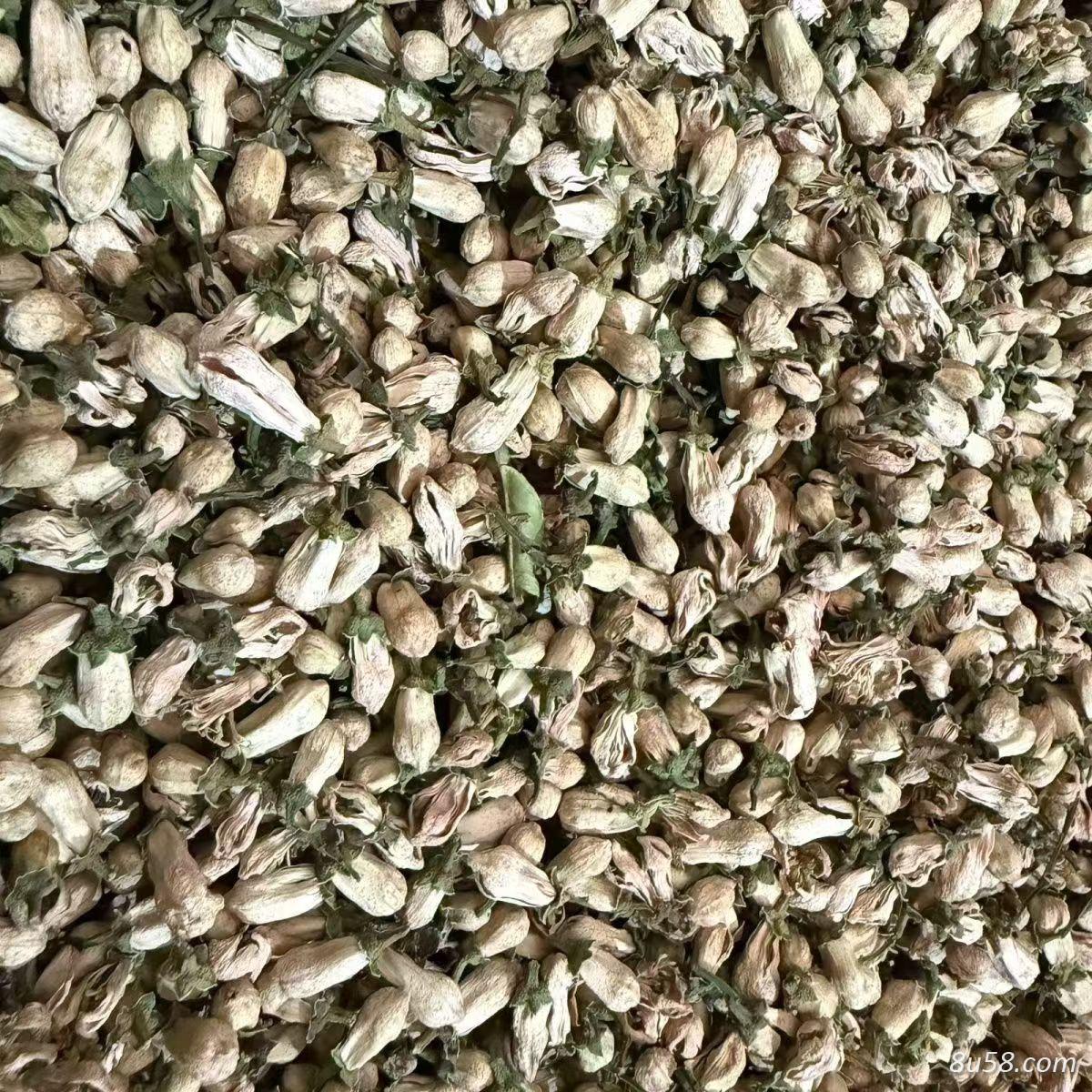 玳玳花批发多少钱？玳玳花 有什么药效？玳玳花一斤多少钱