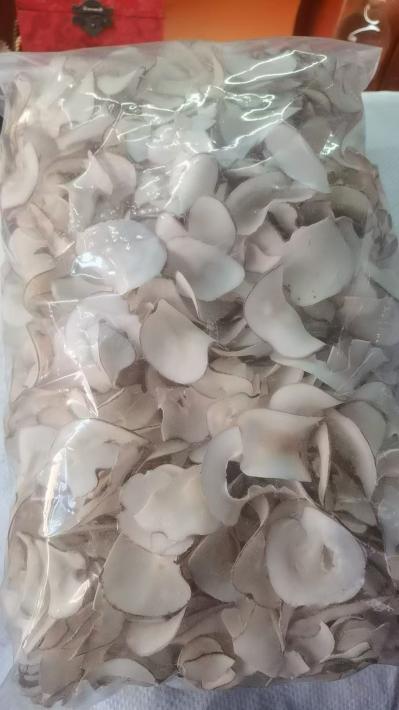 海底椰是用来干什么的？海底椰可以搭配哪些？海底椰搭配的同时需要注意什么？
