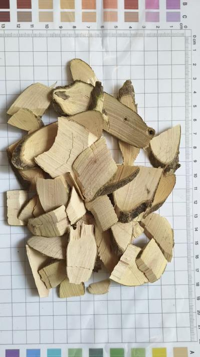 我想买毛冬青哪里有？毛冬青一斤多少钱？毛冬青产地是哪里？