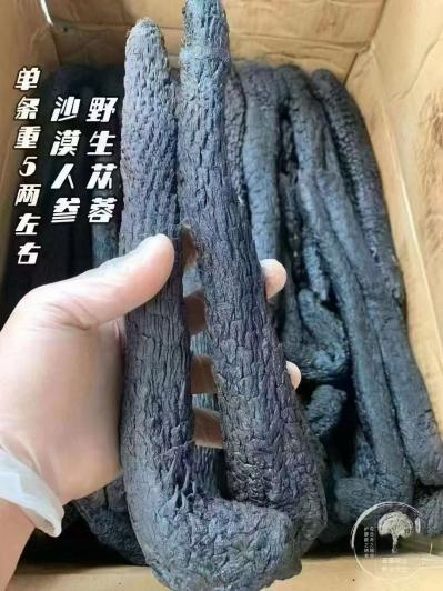肉苁蓉批发多少钱？肉苁蓉怎么吃效果好？道地药材软大云哪里有卖的