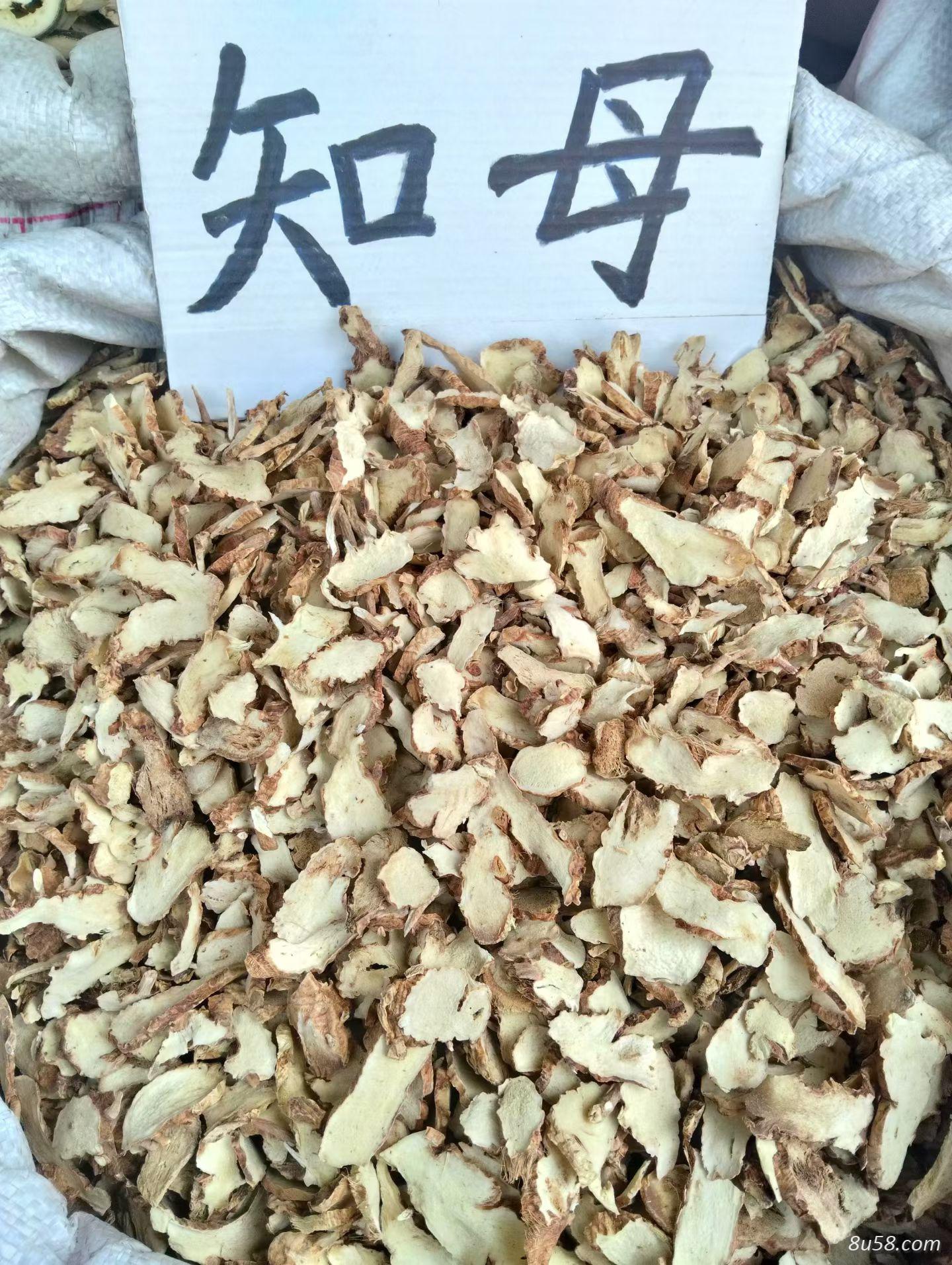 知母是中药材吗？知母的功效与作用是什么？知母有哪些搭配？ ‌