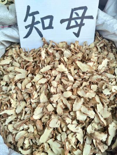 知母有哪些作用？知母撘配哪些中药材可以？