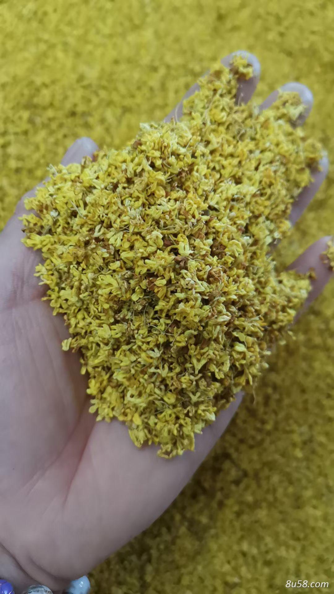 桂花的功效与作用是什么？桂花的搭配有哪些？